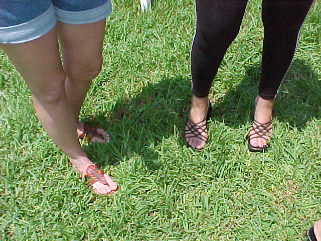 fri-017S.jpg (71420 bytes)
