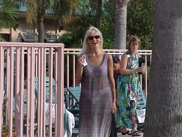 sat-001S.jpg (51591 bytes)